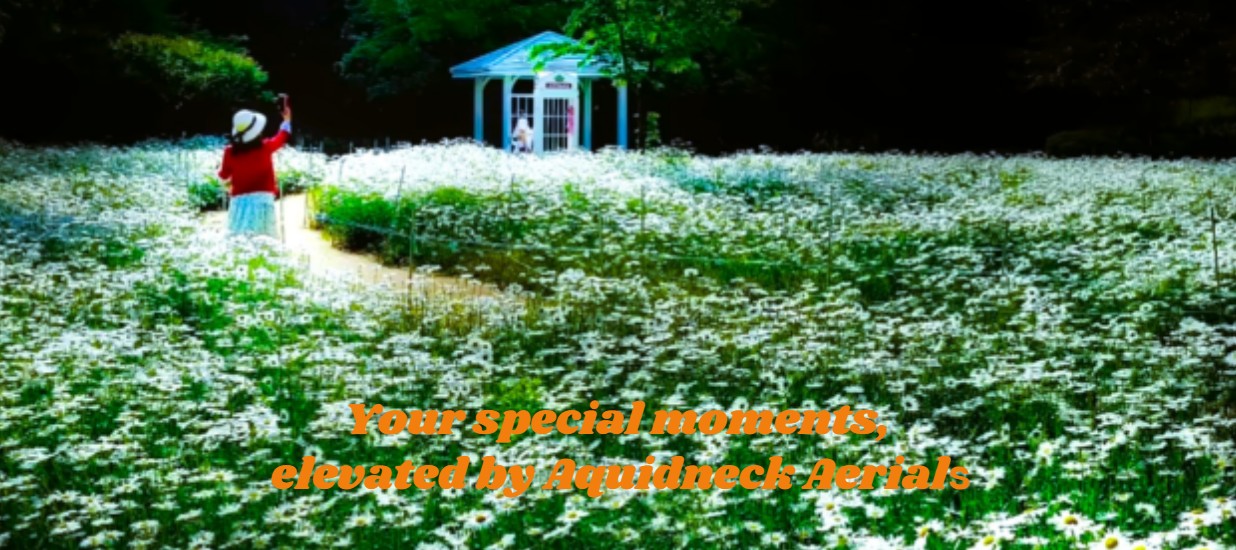 flower garden for web